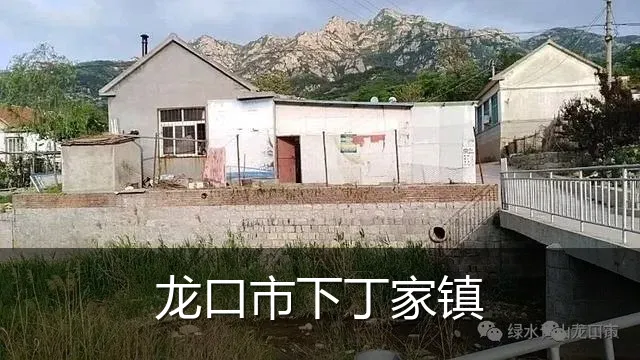 龙口市下丁家镇
