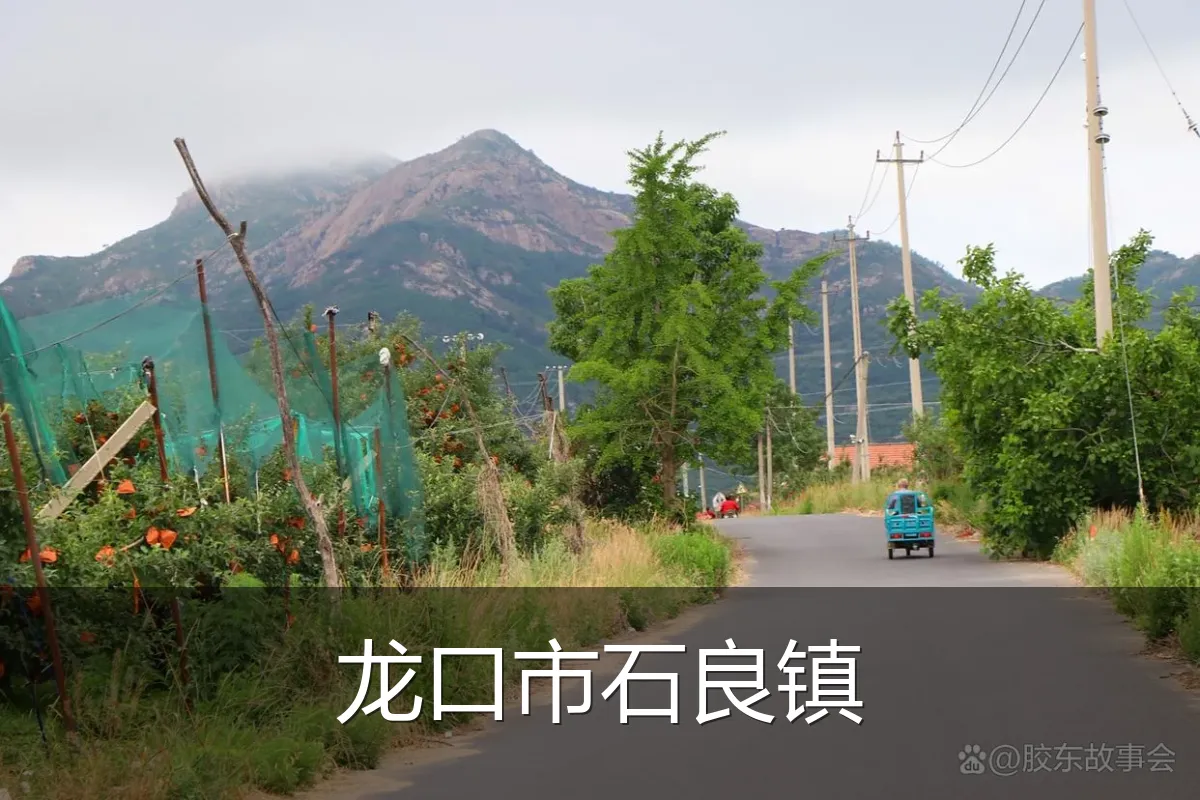 龙口市石良镇